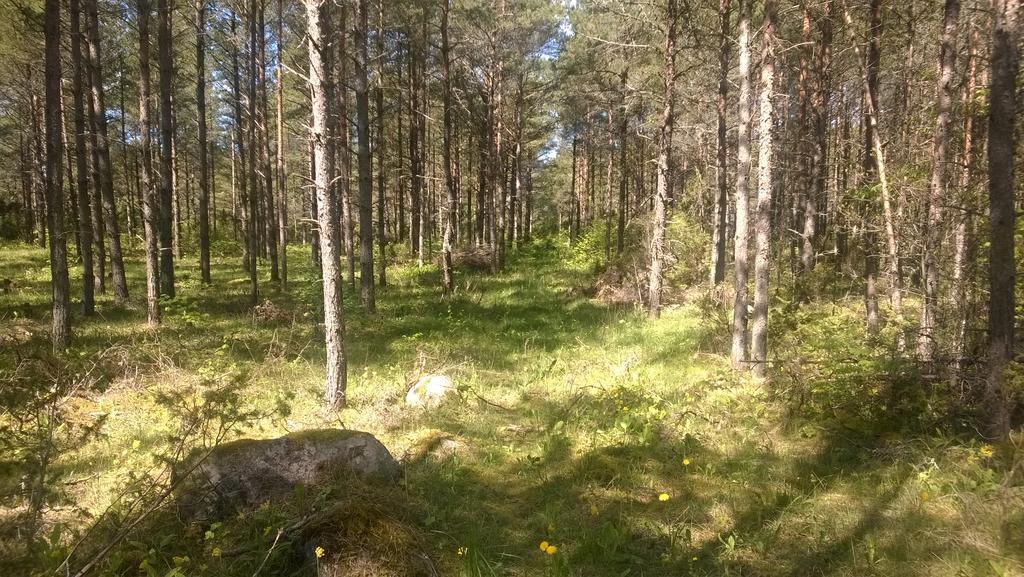 Nature Getaway Holiday Home Mujaste Eksteriør billede